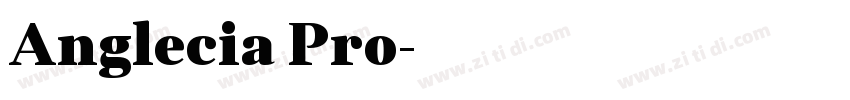 Anglecia Pro字体转换